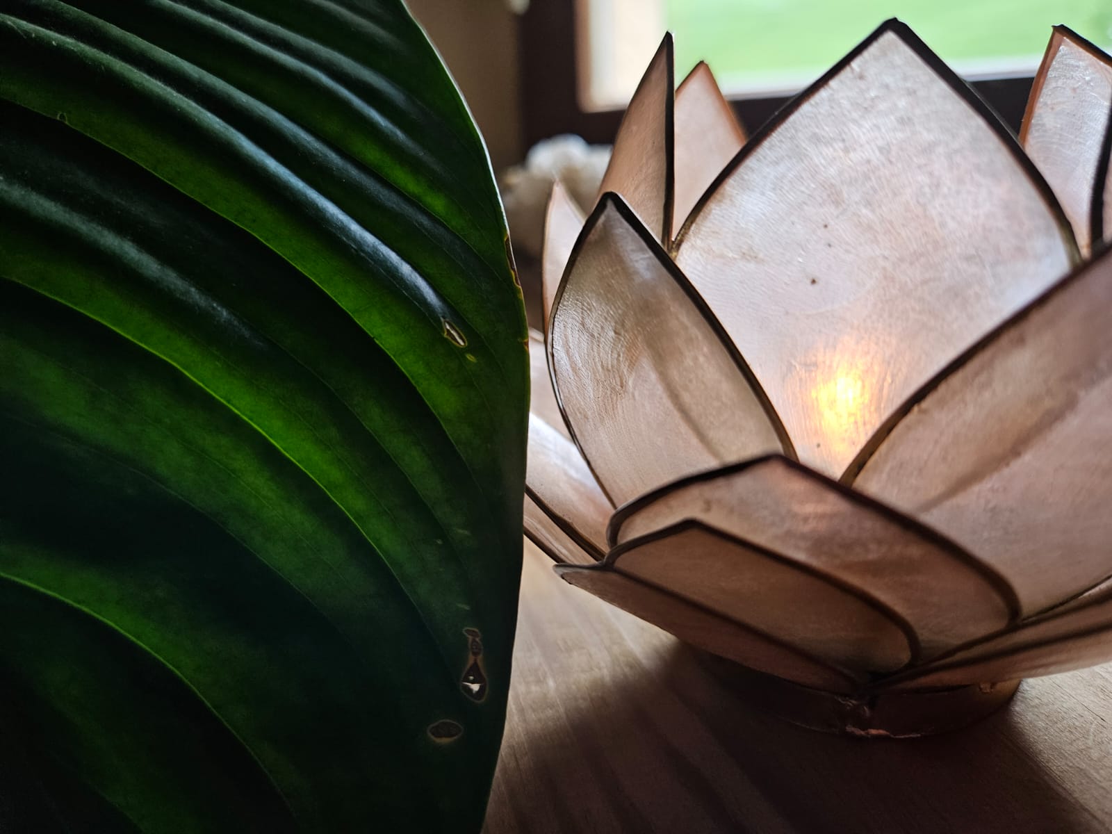 Bougie lotus et feuillage — ambiance apaisante du cabinet